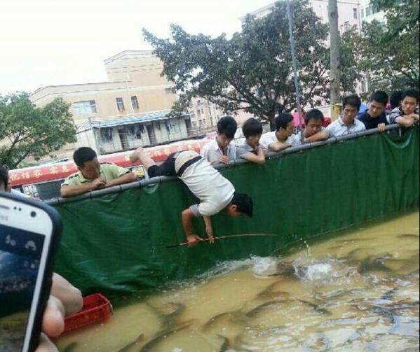 复仇者联盟最大秘密曝光|到动物园点份老龟汤