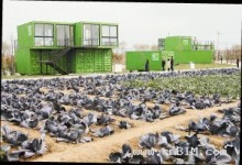 这幢房子会呼吸——会呼吸的生态酒店亮相农高会-BIM建筑网