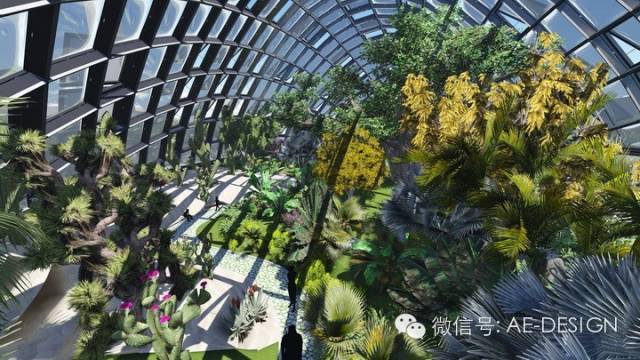万科东莞热带雨林馆BIM设计