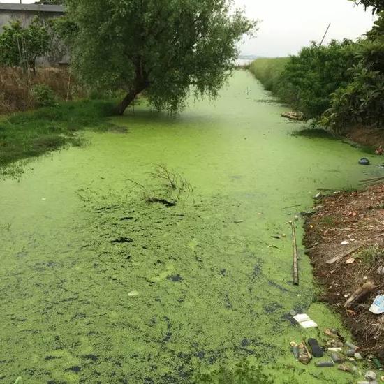 中国缺少,请珍惜水资源!鄱阳湖还要防火 中国缺少,请珍惜水资源!鄱阳湖还要防火