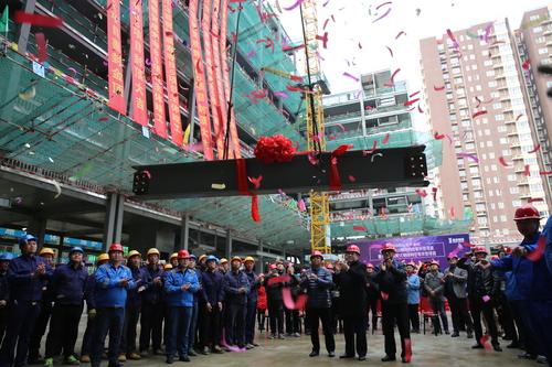 建谊集团成寿寺B5地块定向安置房项目封顶仪式暨装配式钢结构住宅研讨会 BIM视界 第2张