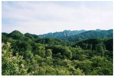 装配式|四个老男孩租下2500亩山谷 用集装箱搭出桃花源地-BIM建筑网