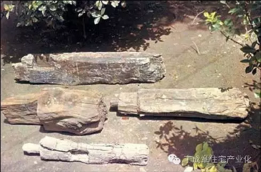 装配式|现代建筑方法及趋势(六)-BIM建筑网