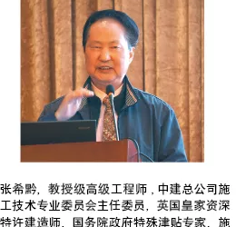 装配式|大型土木工程典型案例建造技术分享(海洋人工岛、超高层、管廊)-BIM建筑网