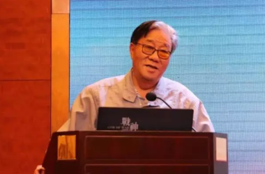 BIM与装配式|轻钢结构住宅 助推美丽乡村建设 ——第五届全国彩钢机械研讨会嘉宾发言精选-BIM建筑网