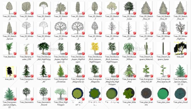 Sketchup素材模型|景观植物树模型组件素材 Sketchup素材模型|景观植物树模型组件素材