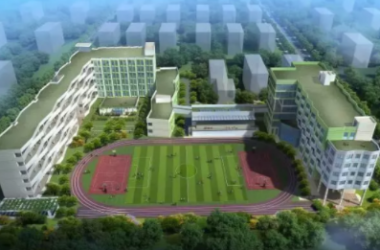 BIM与装配式|双T板技术在上海某小学项目中的应用-BIM建筑网