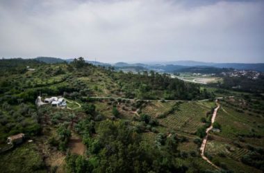 BIM建筑|眺望山谷,一座自由而安静的别墅-BIM建筑网